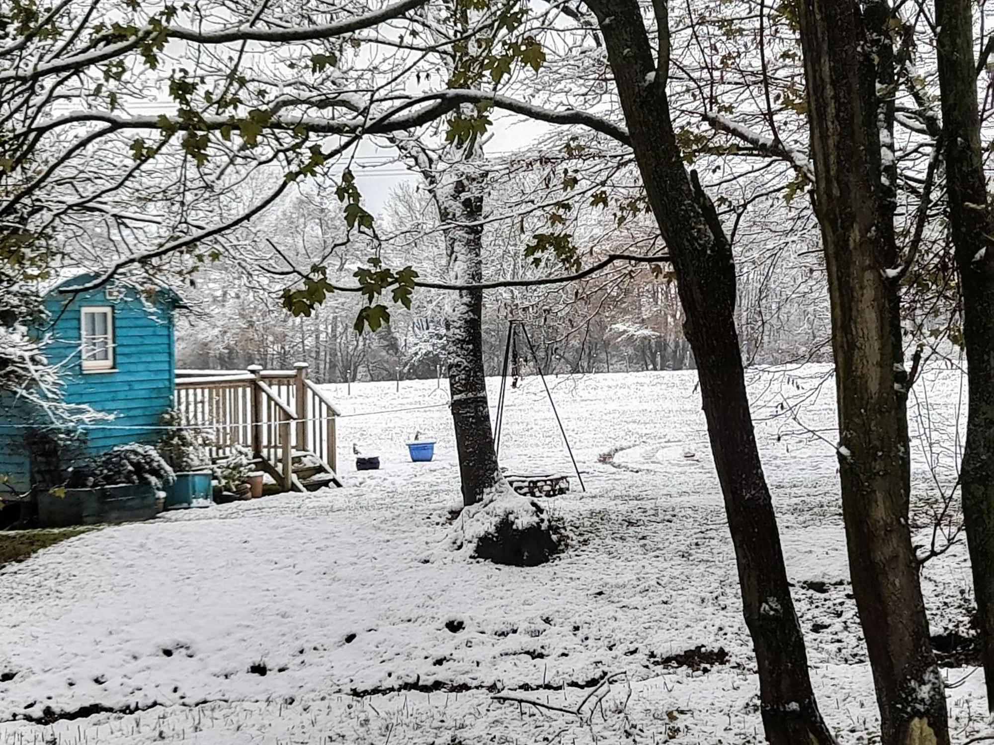 The Shepherds Hut Herstmonceux Exteriör bild